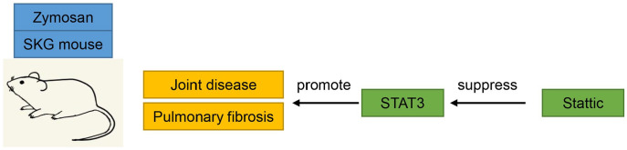 Figure 7.