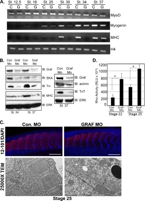 FIGURE 12.