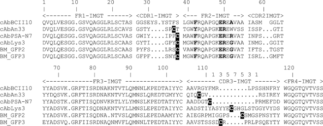 FIGURE 1.