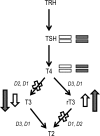 Fig. 1.
