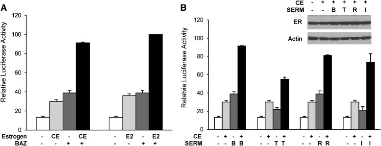 Fig. 8.