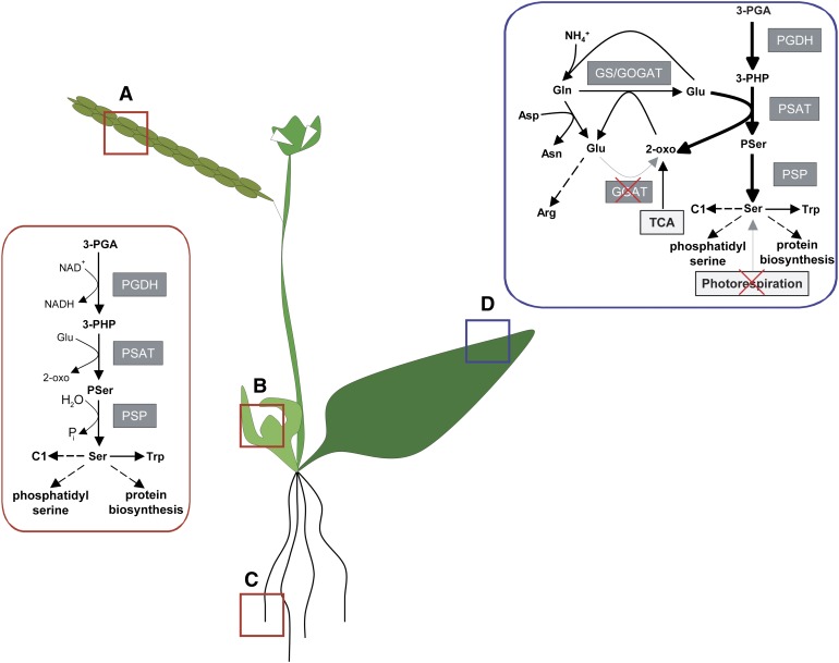 Figure 12.