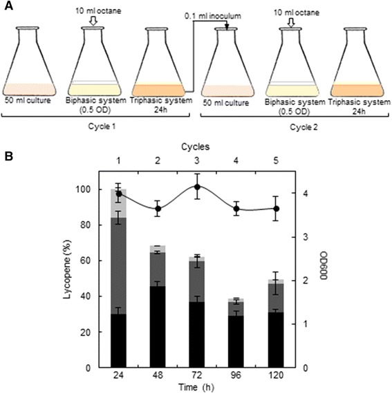 Fig. 7