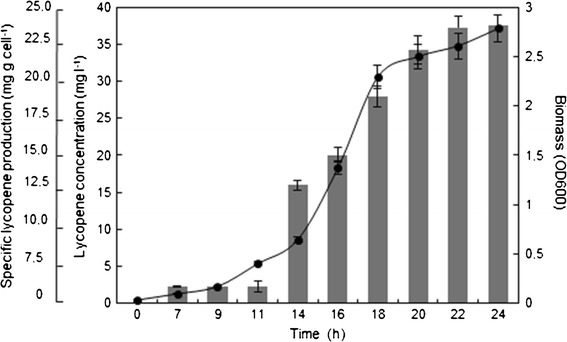 Fig. 3