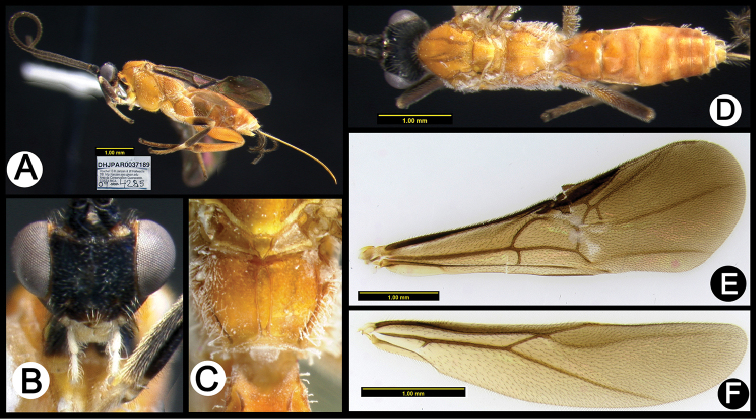 Figure 25.