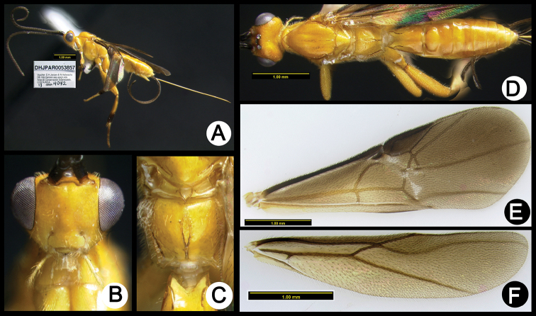 Figure 11.