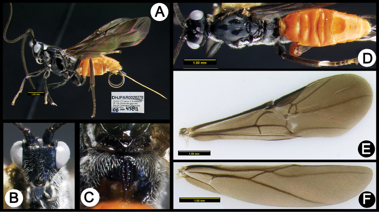 Figure 27.