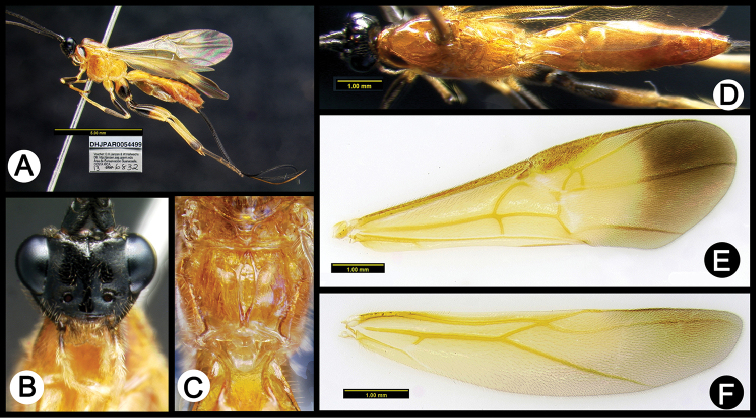 Figure 33.