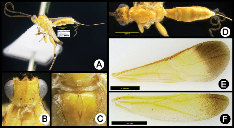 Figure 12.