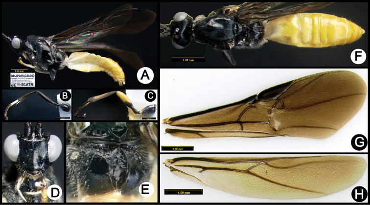 Figure 13.