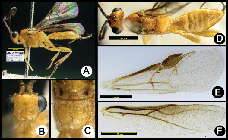 Figure 19.