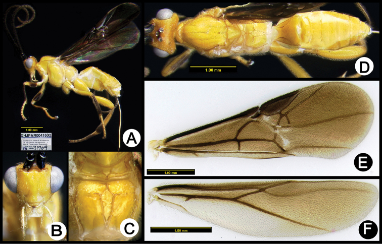 Figure 22.