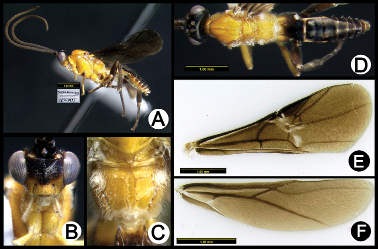 Figure 21.