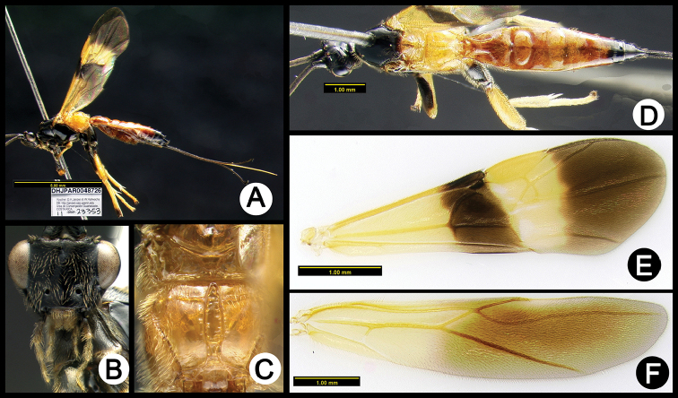 Figure 14.