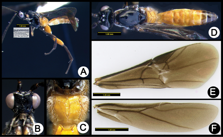 Figure 32.