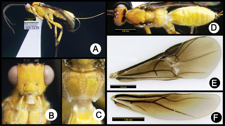 Figure 16.