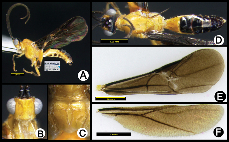 Figure 23.