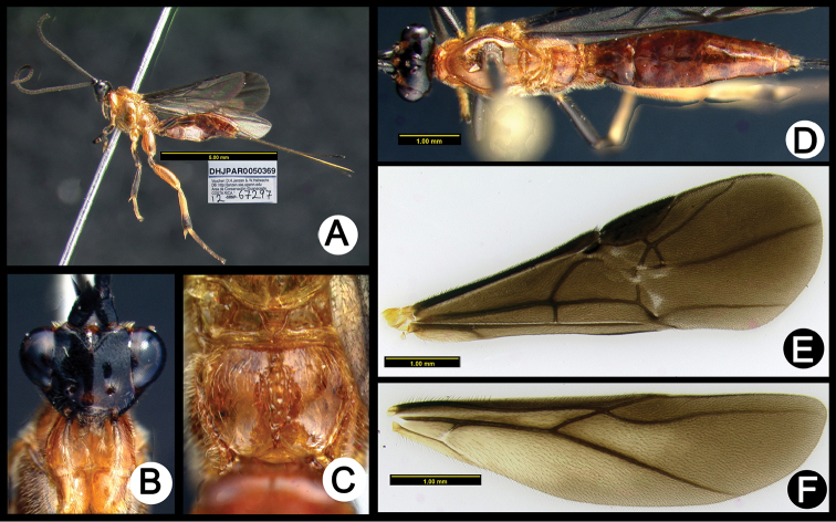 Figure 24.