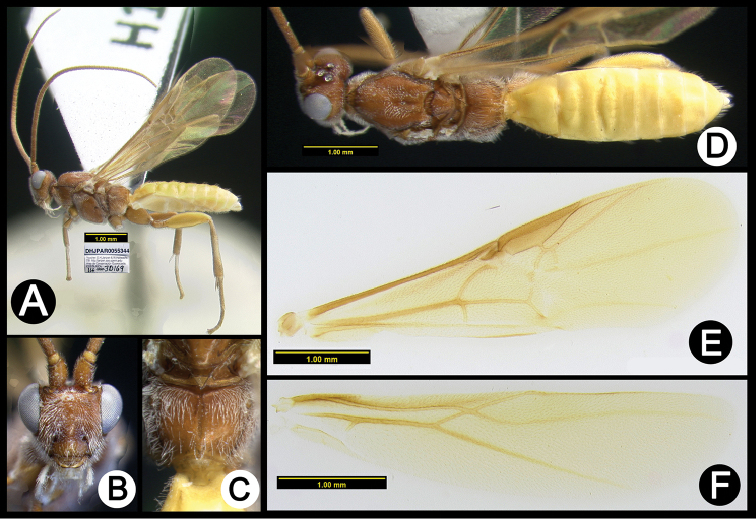 Figure 15.