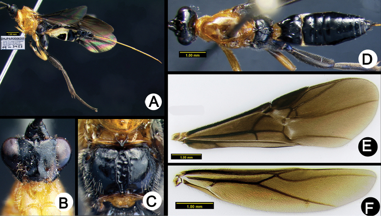 Figure 28.