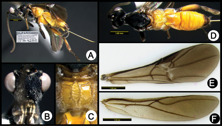 Figure 29.