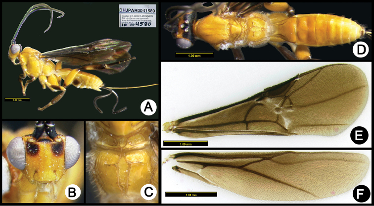 Figure 20.