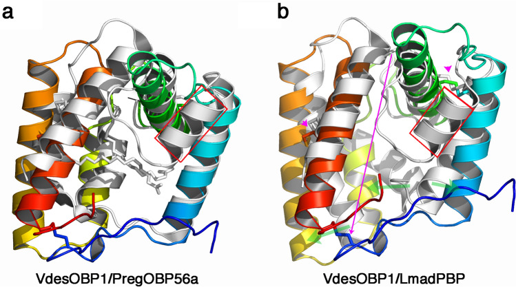 Figure 7