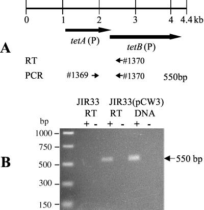 FIG. 1