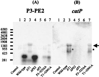 FIG. 5