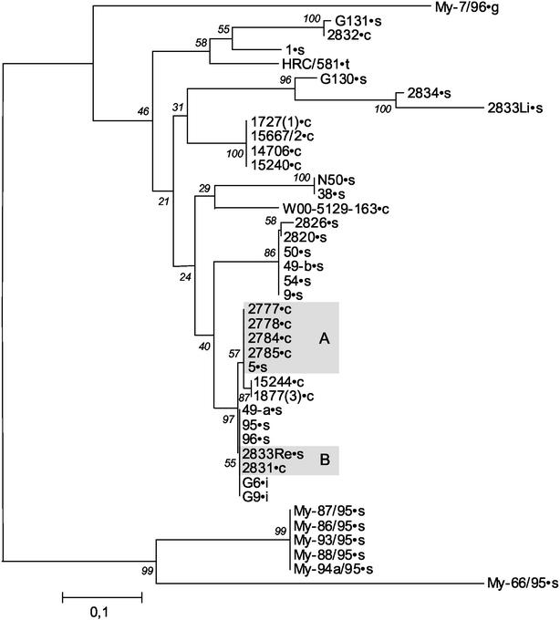 FIG. 2.