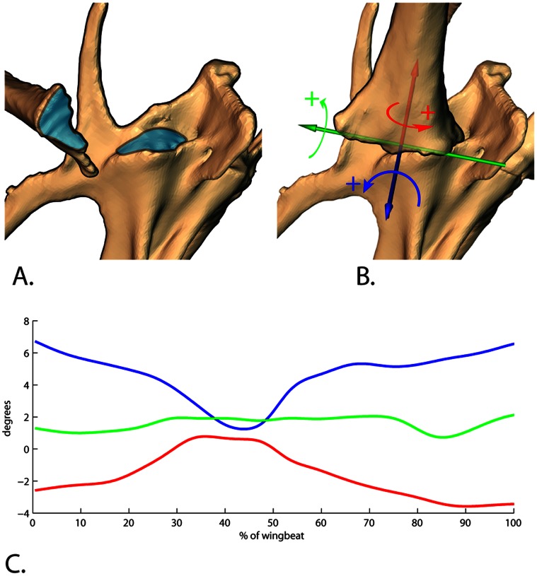 Figure 4