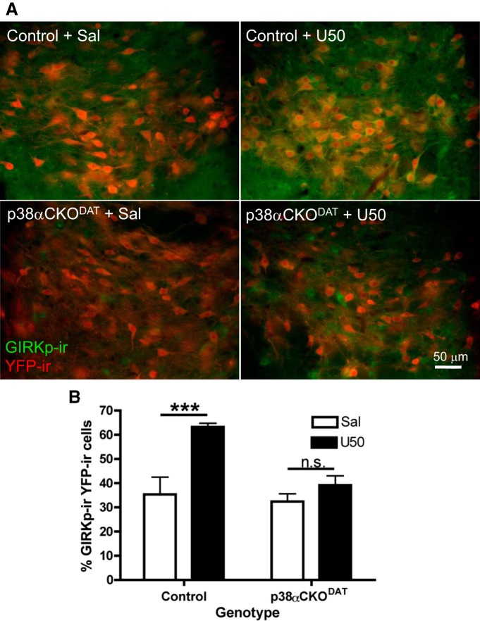 Figure 10.