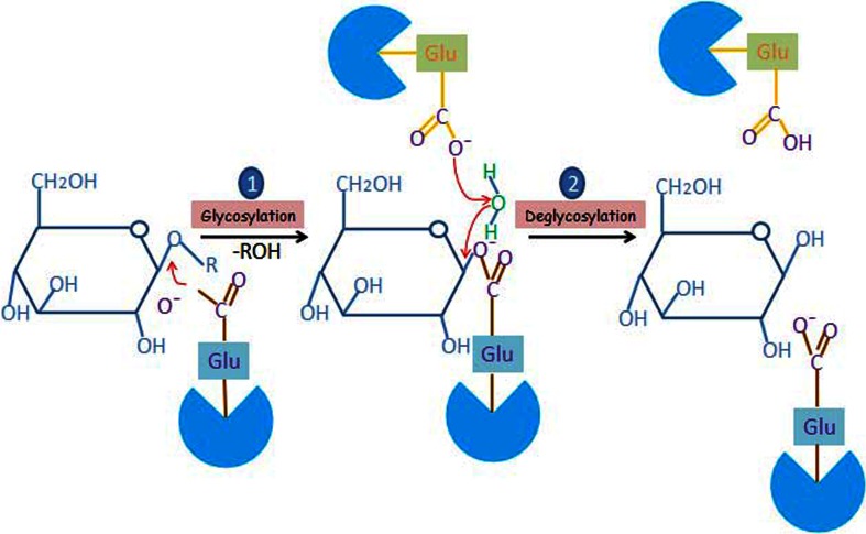 Fig. 2