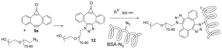 Scheme 8