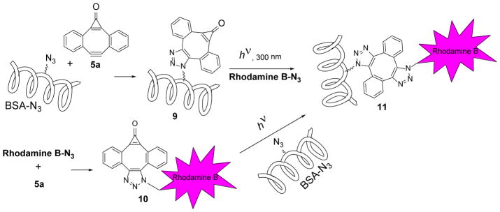 Scheme 7