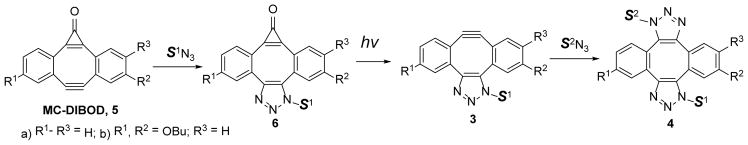 Scheme 2