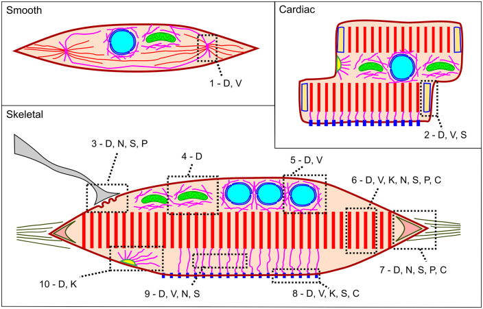 Figure 6.