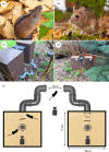 Subject species and test equipment
