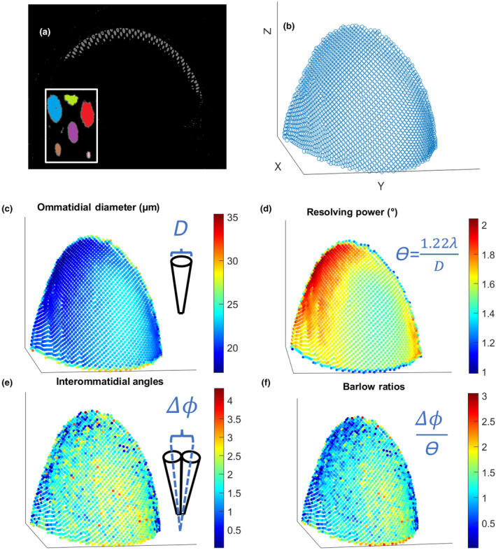 FIGURE 2