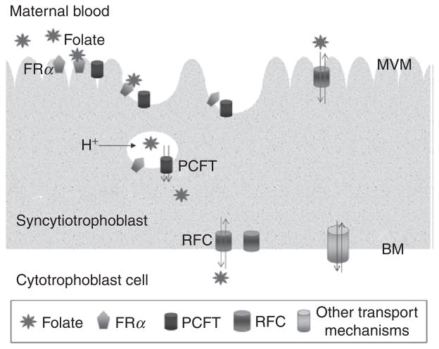 Figure 3.3