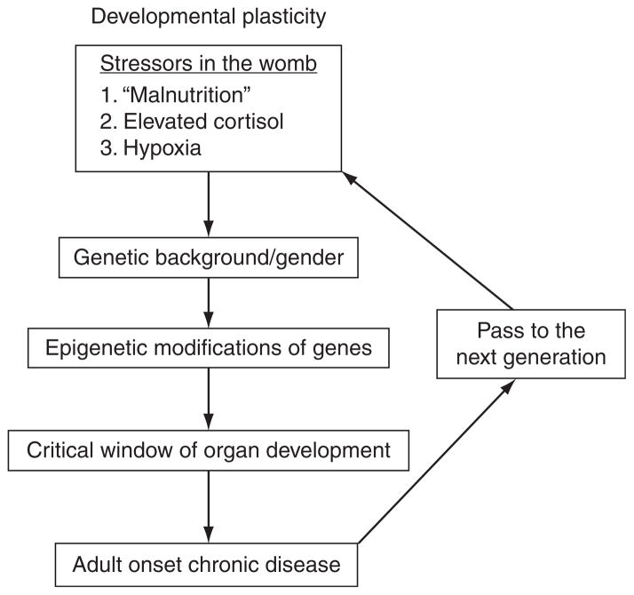 Figure 3.1