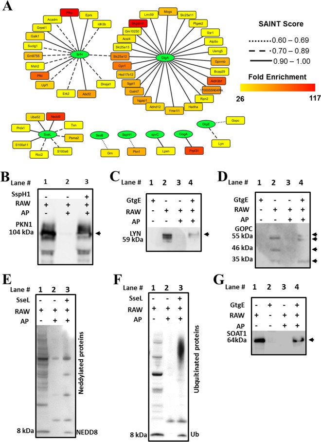 FIG 1 