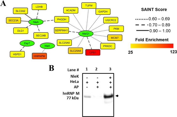 FIG 2 