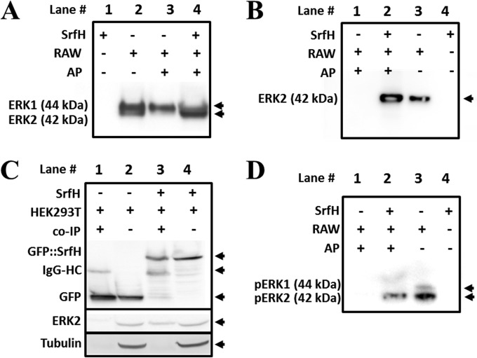 FIG 3 