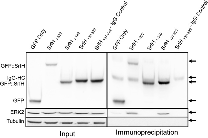 FIG 4 