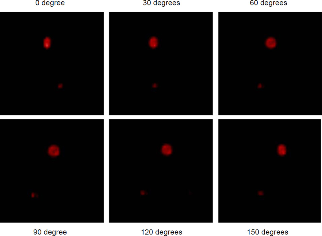 Fig. 9