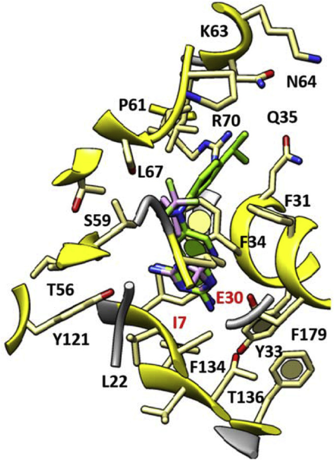 Fig. 5