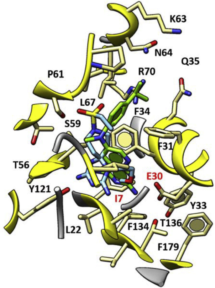 Fig. 7