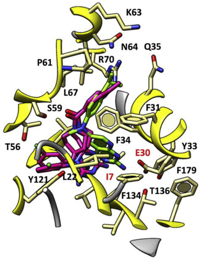 Fig. 6