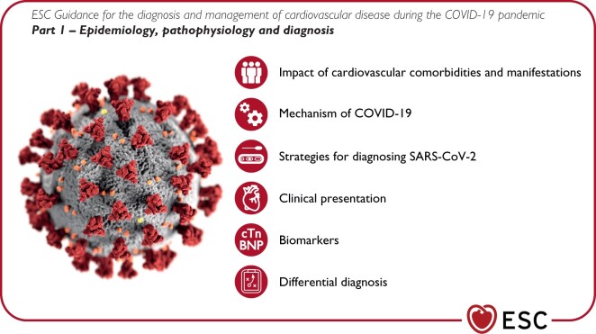 Graphical Abstract